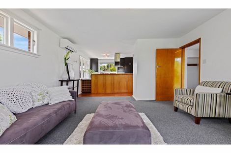 Photo of property in 80 Mahars Road, Mairehau, Christchurch, 8052