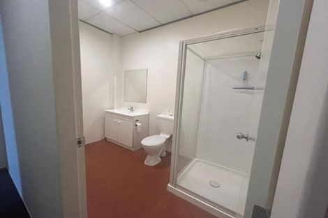 Photo of property in City Lodge, 205/115 Vivian Street, Te Aro, Wellington, 6011