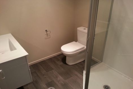 Photo of property in 150u1 Killarney Road, Frankton, Hamilton, 3204