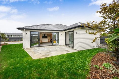 Photo of property in 5a Anglesey Place, Awapuni, Palmerston North, 4412
