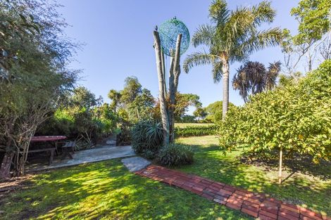 Photo of property in 21 Trewavas Street, Motueka, 7120