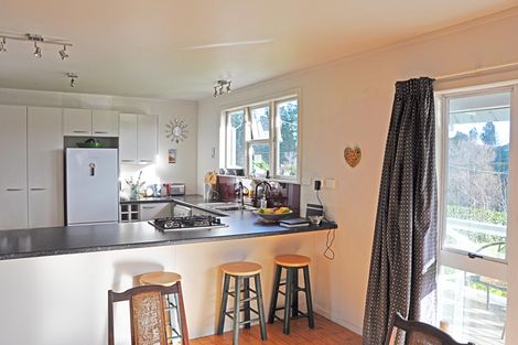 Photo of property in 38 Bickerstaffe Road, Maungaturoto, 0520