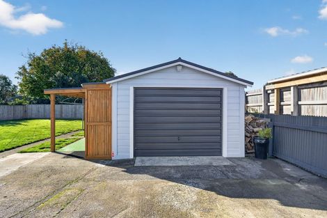 Photo of property in 111 Bannister Street, Masterton, 5810