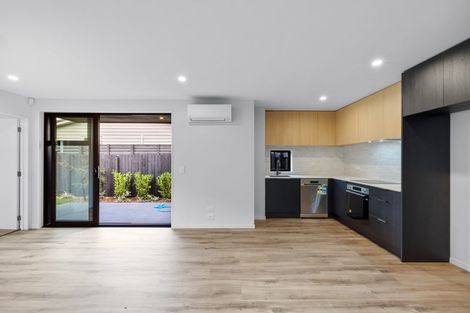 Photo of property in 48 Winton Street, St Albans, Christchurch, 8014