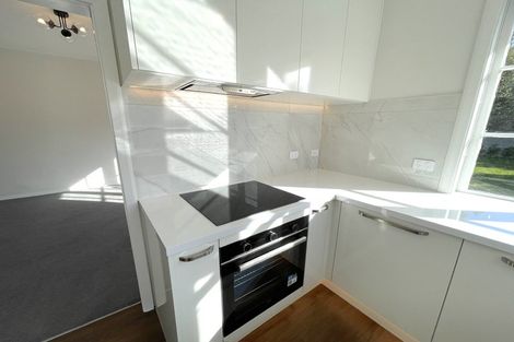 Photo of property in 29 Otara Street, Ilam, Christchurch, 8053