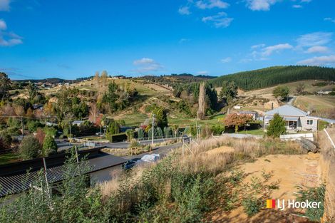 Photo of property in 14 Goodwin Street, Waihola, Milton, 9073