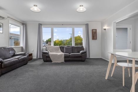 Photo of property in 8 Middlesex Street, Levin, 5510