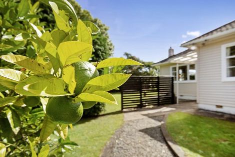 Photo of property in 19 Naenae Road, Naenae, Lower Hutt, 5011