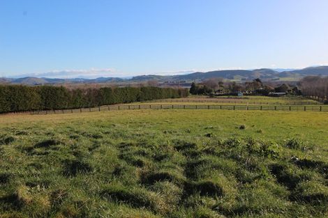 Photo of property in 310a Porangahau Road, Waipukurau, 4282