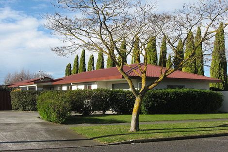 Photo of property in 423 Hemi Street, Raureka, Hastings, 4120