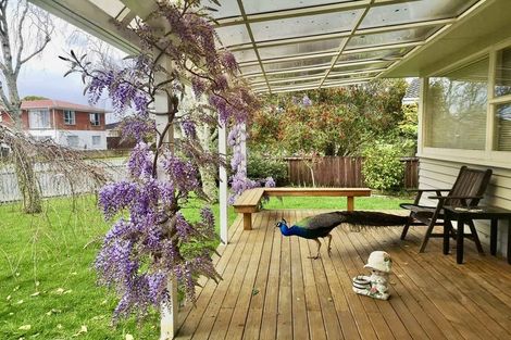 Photo of property in 121 Muir Avenue, Mangere Bridge, Auckland, 2022