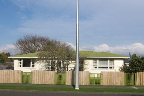 Photo of property in 54 College Street, Awapuni, Palmerston North, 4412