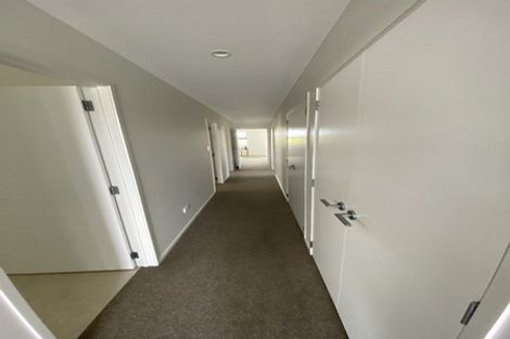 Photo of property in 21 Cowell Crescent, Pyes Pa, Tauranga, 3112