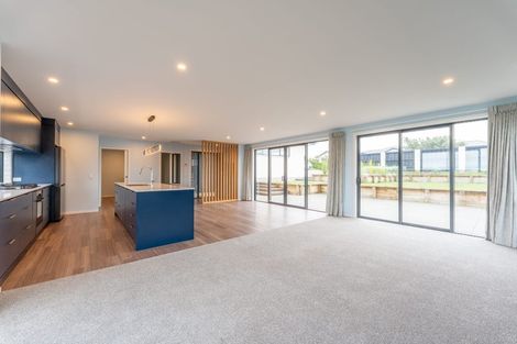 Photo of property in 21 Lancewood Terrace, Oceanview, Timaru, 7910