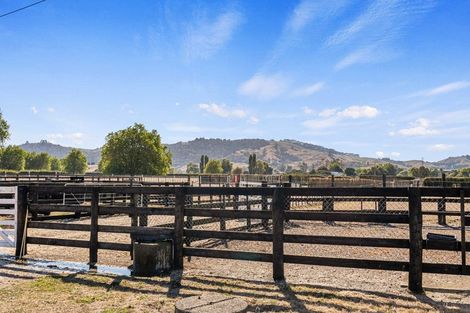 Photo of property in 86 Saint Kilda Road, Cambridge, 3493