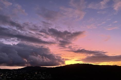 Photo of property in 33 Bedford Street, Northland, Wellington, 6012