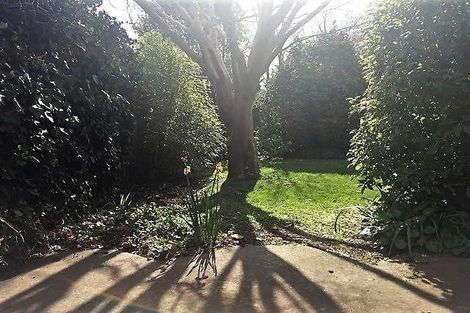 Photo of property in 1/44 Puriri Street, Riccarton, Christchurch, 8041