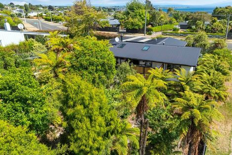Photo of property in 22 Gillies Avenue, Taupo, 3330
