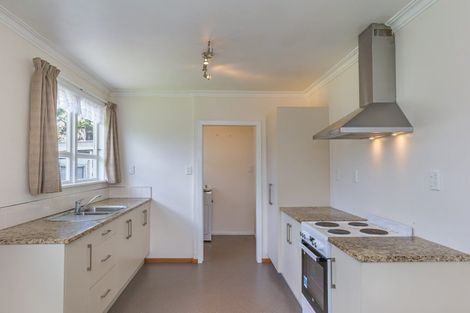 Photo of property in 16 Ferguson Street, Levin, 5510