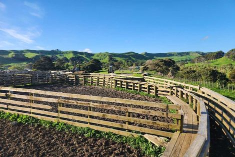 Photo of property in 899 Te Akau Road, Te Akau, Ngaruawahia, 3793