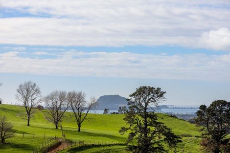 Photo of property in 315 Ross Road, Whakamarama, Tauranga, 3179