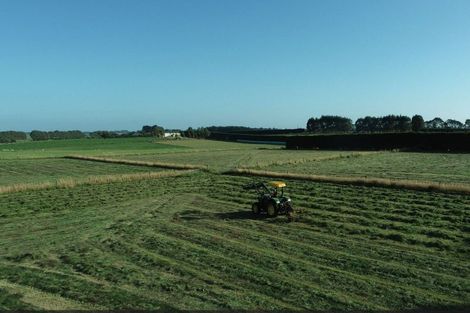 Photo of property in 155 Tussock Creek Grove Bush Road, Grove Bush, Invercargill, 9872