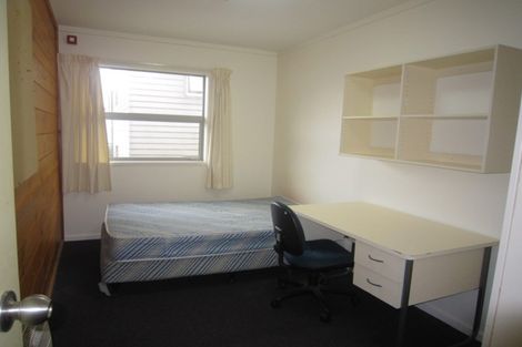 Photo of property in Drummond Street Flats, 21/19u Drummond Street, Mount Cook, Wellington, 6021