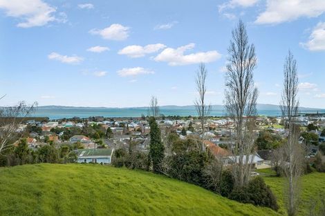 Photo of property in 205 Augustus Street South, Thames, 3500