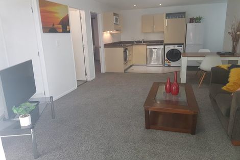 Photo of property in Dual Apartments, 203/142u Vivian Street, Te Aro, Wellington, 6011