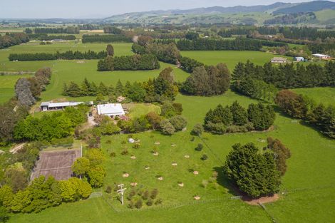 Photo of property in 439 Norfolk Road, Waingawa, Carterton, 5791