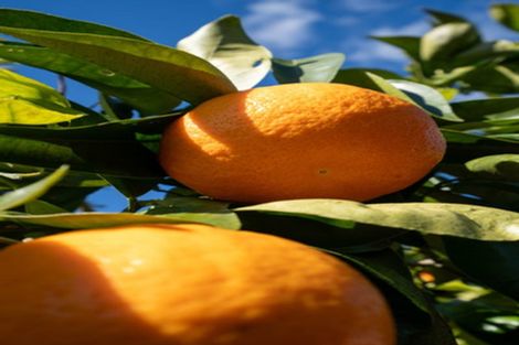 Photo of property in 27 Bowen Street, Cambridge, 3434