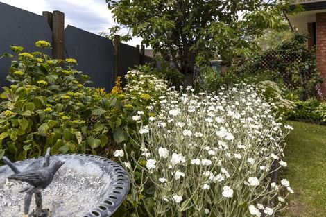 Photo of property in 17 Morrington Terrace, Witherlea, Blenheim, 7201