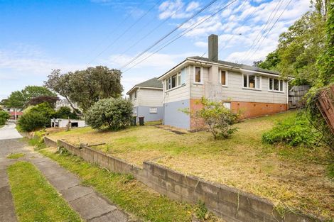 Photo of property in 25 Hutchinson Avenue, New Lynn, Auckland, 0600