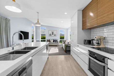 Photo of property in 41 Percy Berry Place, Havelock North, 4130