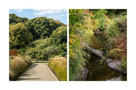Photo of property in 252 Adler Drive, Ohauiti, Tauranga, 3112
