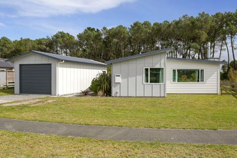 Photo of property in 64 John Norrie Place, Motuoapa, Turangi, 3382