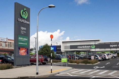 Photo of property in 22 Pukeko Road, Hobsonville, 0616