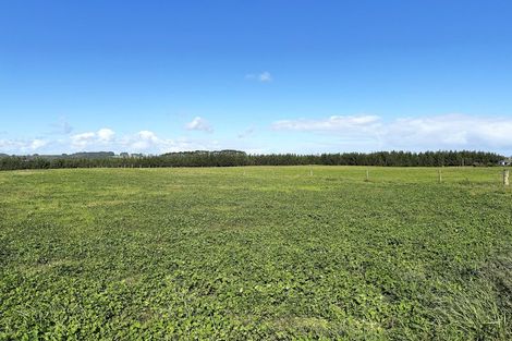 Photo of property in 413a Baylys Coast Road, Dargaville, 0377