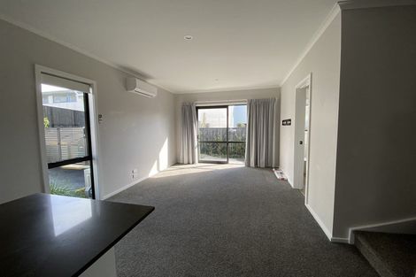 Photo of property in 14u2 Abbotsford Street, Whitiora, Hamilton, 3200