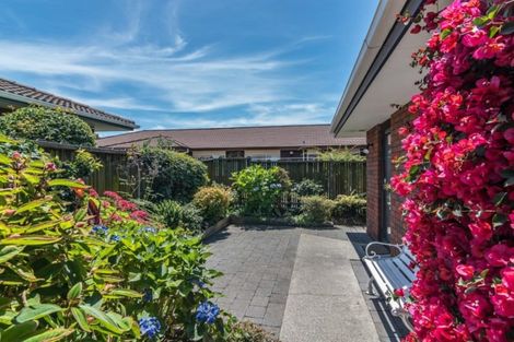 Photo of property in 3b Pinewood Grove, Paraparaumu Beach, Paraparaumu, 5032