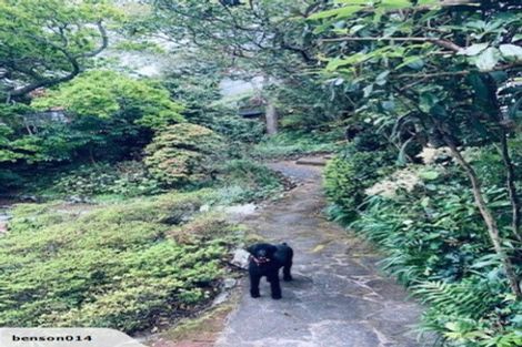 Photo of property in 22 Orchard Street, Wadestown, Wellington, 6012