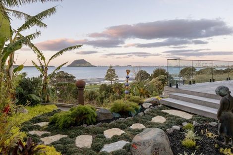 Photo of property in 9 Aylesbury Terrace, Otumoetai, Tauranga, 3110