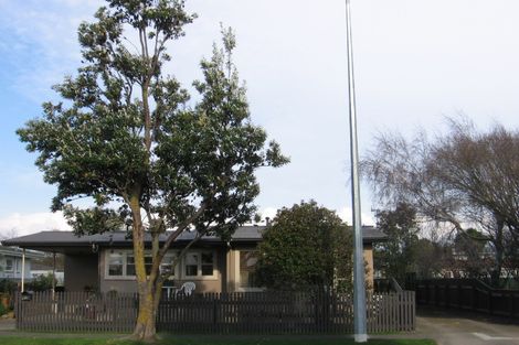 Photo of property in 50 College Street, Awapuni, Palmerston North, 4412