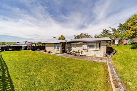 Photo of property in 114 Porangahau Road, Waipukurau, 4200