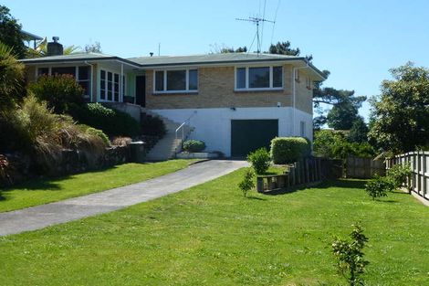Photo of property in 117 Tirau Street, Putaruru, 3411