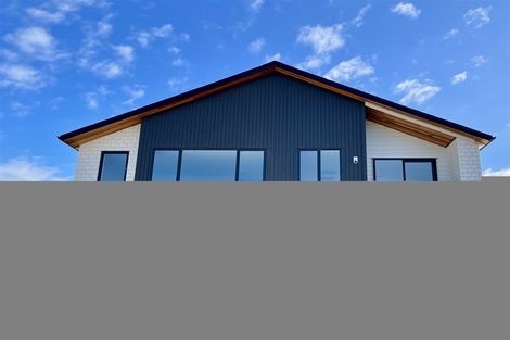 Photo of property in 33 Hing Street, Flat Bush, Auckland, 2019