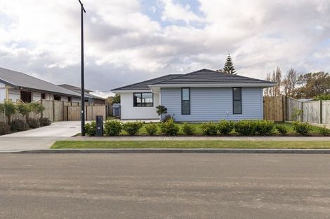 Photo of property in 11 Rayner Lane, Marton, 4710