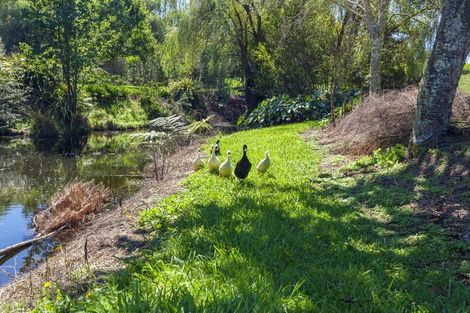 Photo of property in 363 Roydon Downs Road, Paengaroa, Te Puke, 3189