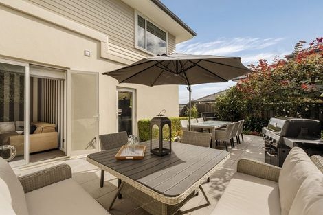 Photo of property in 75 Fifth Avenue, Tauranga, 3110