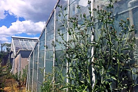 Photo of property in 30 Norana Avenue, Favona, Auckland, 2024